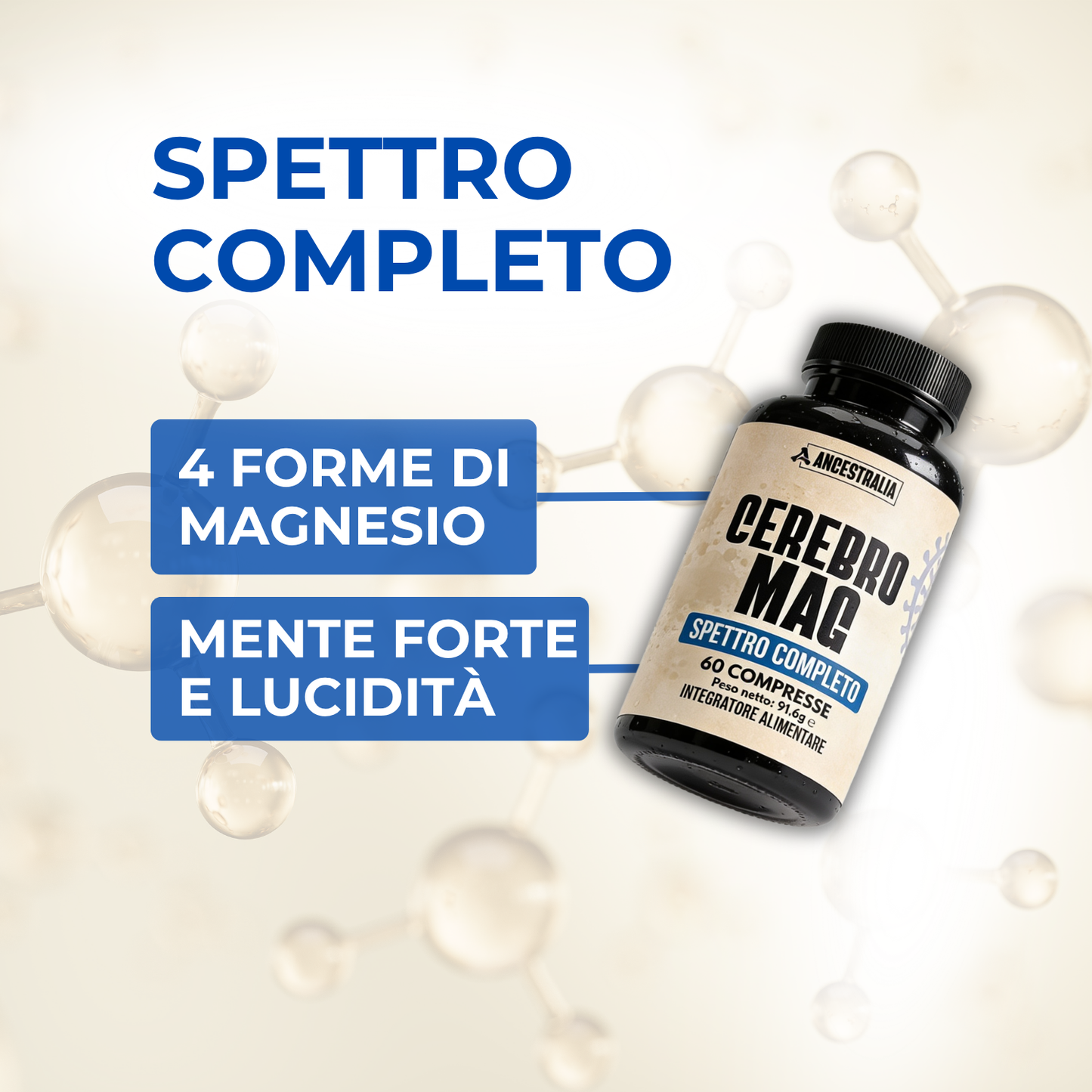 CEREBRO-MAG