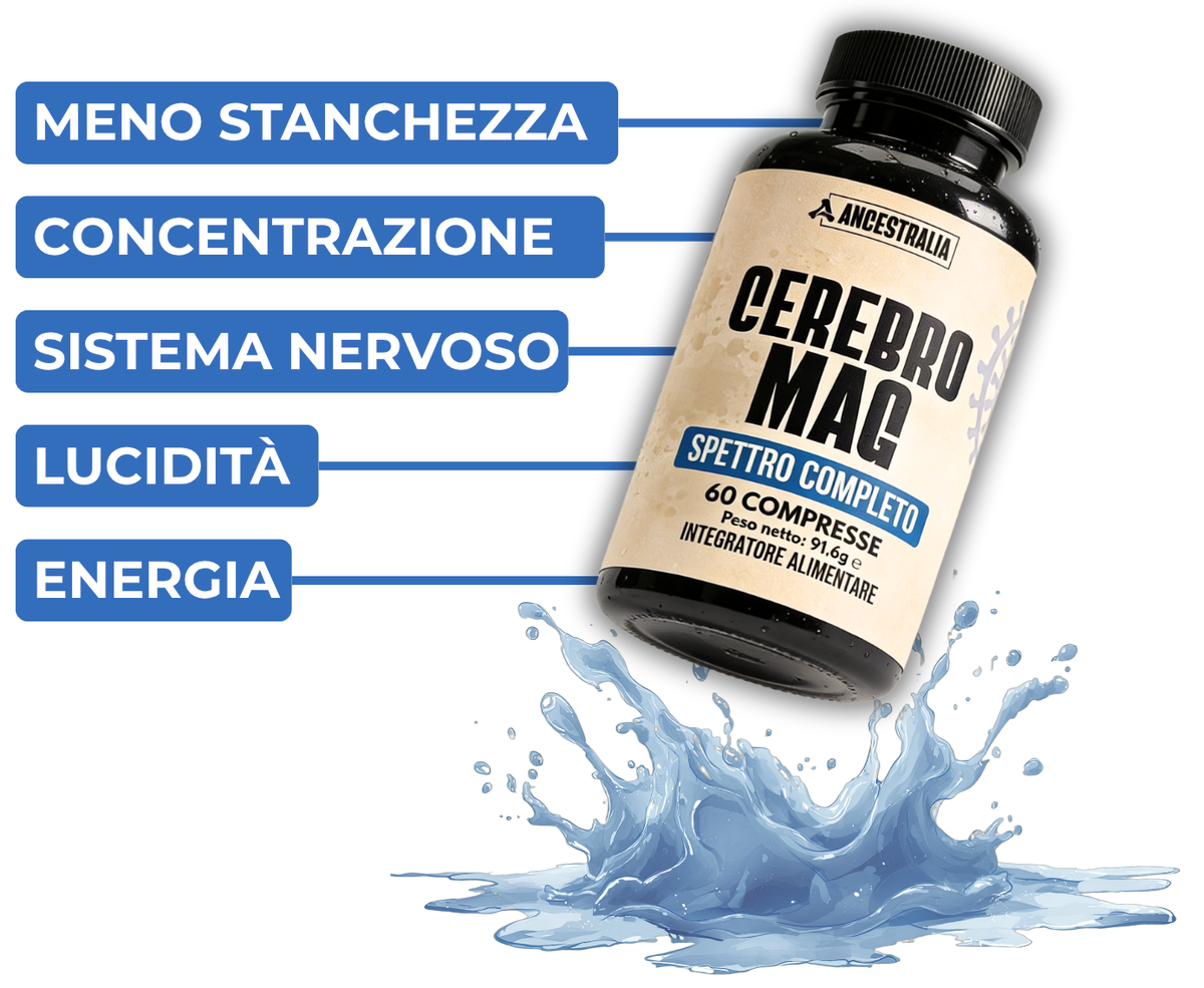 Immagine sezione