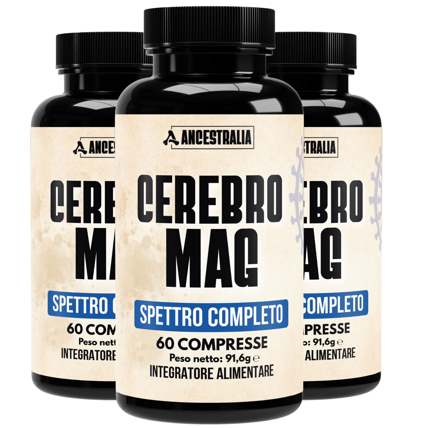 CEREBRO-MAG