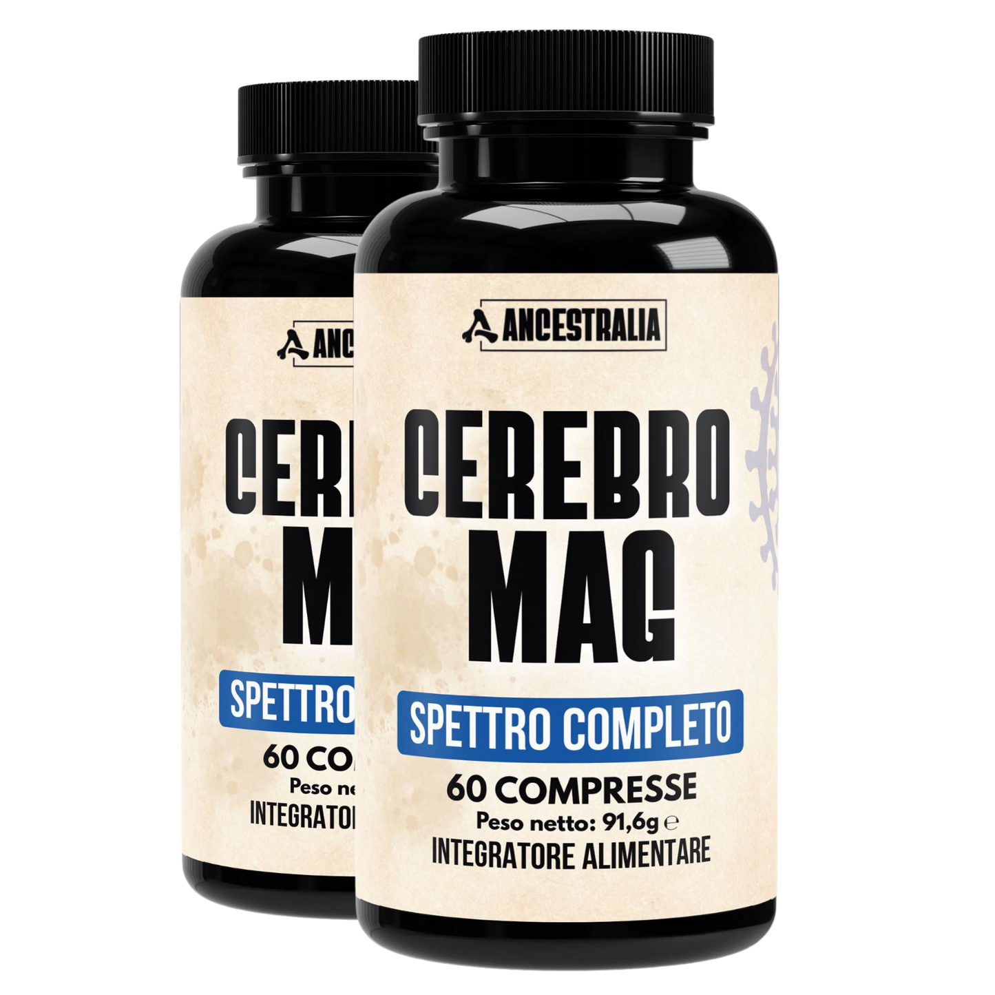 CEREBRO-MAG