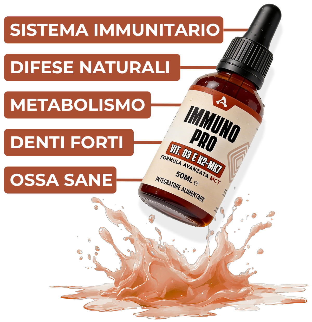Immagine sezione