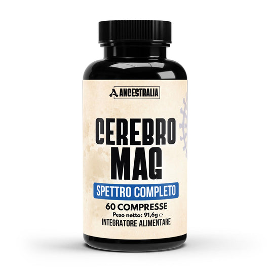 CEREBRO-MAG