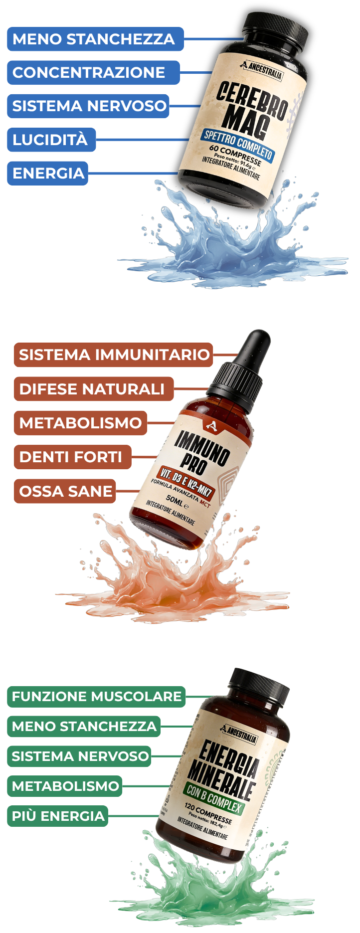 Immagine sezione